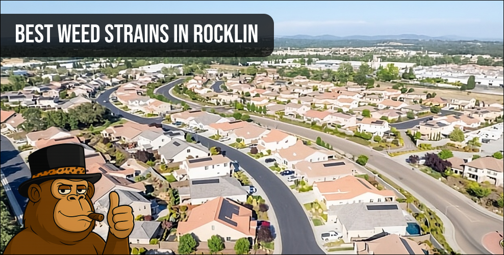 Aerial view of a residential neighborhood in Rocklin California.