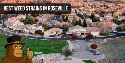 Aerial view of Roseville CA residential area with a cannabis mascot overlay.