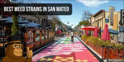 A vibrant street view of downtown San Mateo with outdoor dining and colorful pavement art.