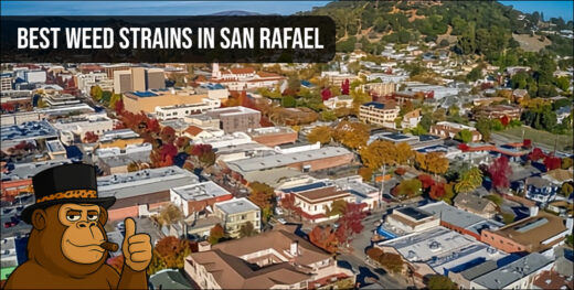 Coastal Northern California landscape view with "Best Weed Strains" text overlay.