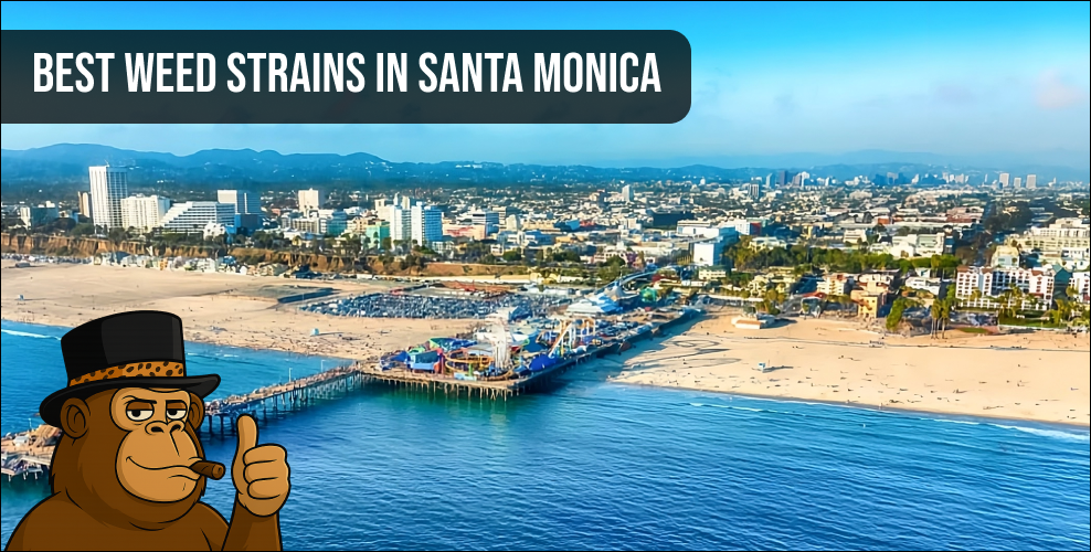 Panoramic view of Santa Monica beach and pier for cannabis delivery guide.