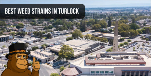 Aerial view of Turlock city with Best Weed Strains text overlay.