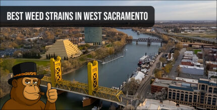 Aerial view of West Sacramento bridge and skyline for cannabis guide.