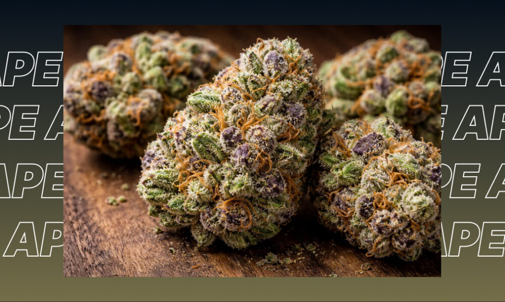 Ground cannabis flower particles arranged in a circle on a dark wood surface.