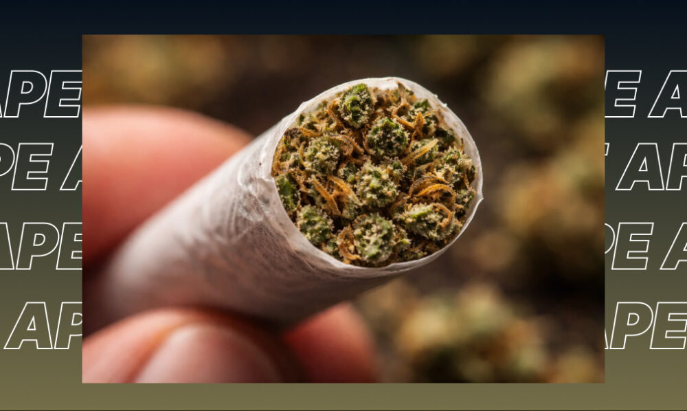 Close-up of a hand-rolled cannabis joint filled with high-quality green flower.