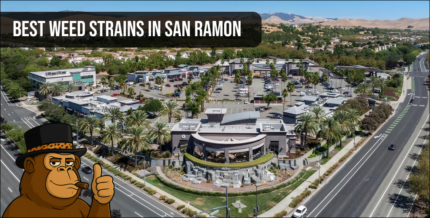 Aerial drone view of a San Ramon residential community with San Ramon text overlay.