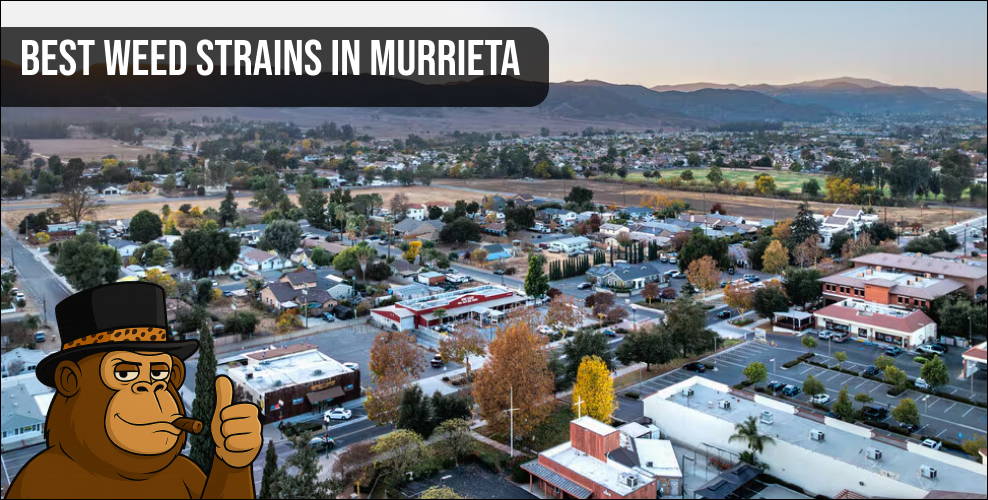 Aerial drone shot of a Murrieta neighborhood with a water feature and "Best Weed Strains" text.