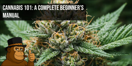 A macro close-up of a frosty cannabis flower featuring green leaves, orange hairs, and white trichomes.