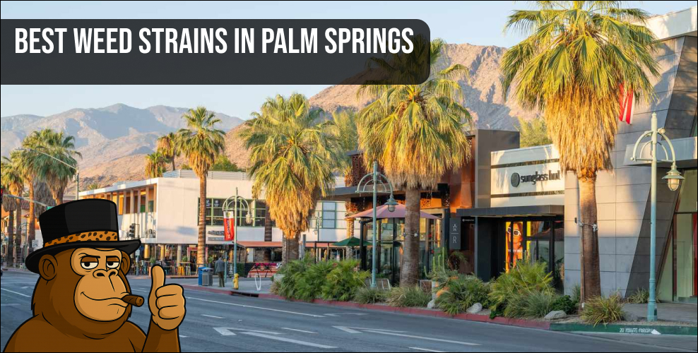 A high-quality cannabis bud macro shot featuring a "Best Weed Strains in Palm Springs" text overlay and a branded monkey mascot.