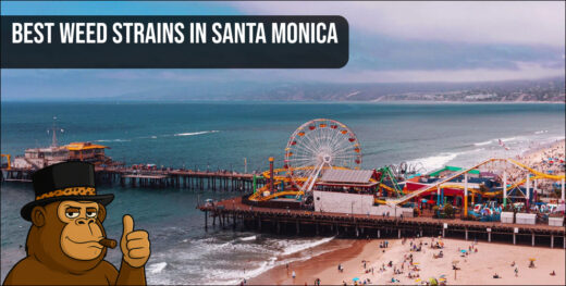An aerial view of the Santa Monica Pier and Pacific Park beachside, representing the best weed strains in Santa Monica lifestyle.