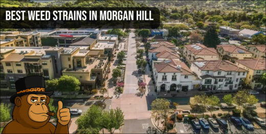 Aerial view of a Morgan Hill residential neighborhood with Best Weed Strains text.