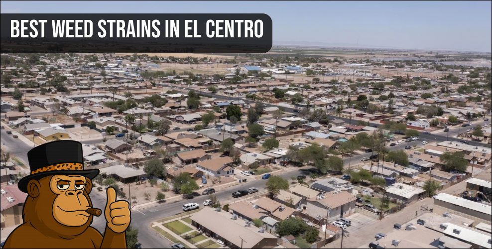 Aerial sunset landscape of El Centro city streets, a prime location for finding the best weed strains in El Centro.