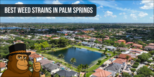 An aerial shot of a Palm Springs residential area with a central lake, highlighting the local scene for premium cannabis flower.