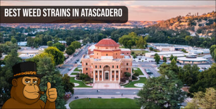 An aerial view of the historic red-domed Atascadero City Hall and Sunken Gardens, representing the heart of the local cannabis scene.