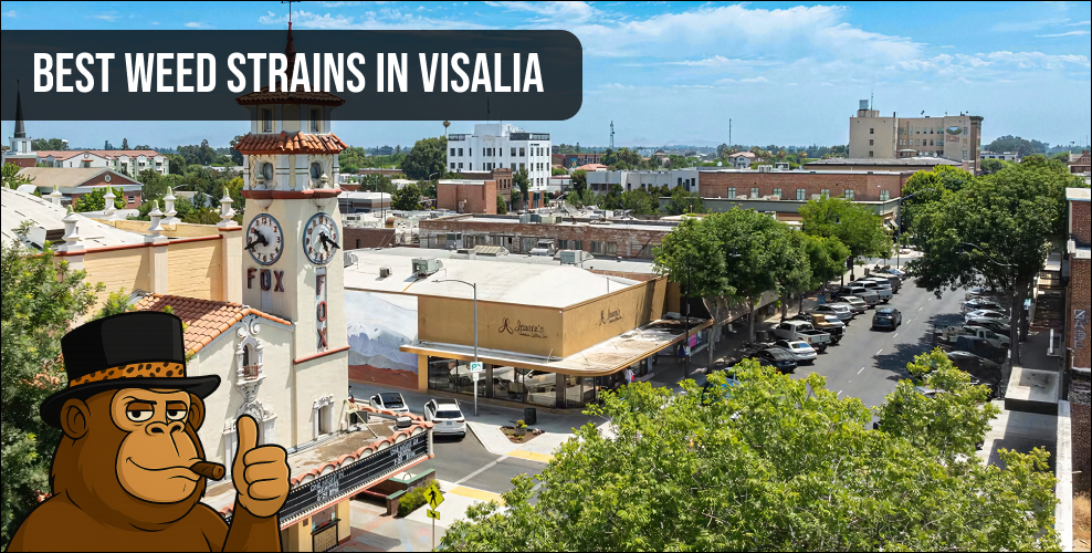An aerial perspective of Visalia highlighting the local culture and search for top-tier cannabis strains.