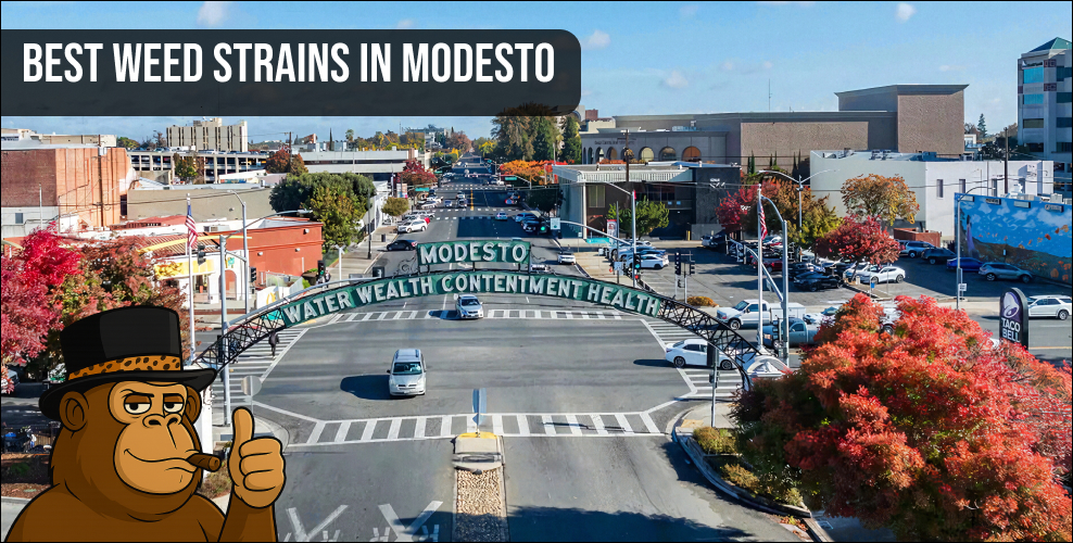 An aerial view of downtown Modesto representing the local Central Valley cannabis scene and top-tier flower availability.