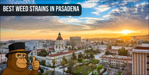 An aerial view of the Pasadena city skyline and San Gabriel Mountains, representing the local market for the best weed strains in Pasadena.