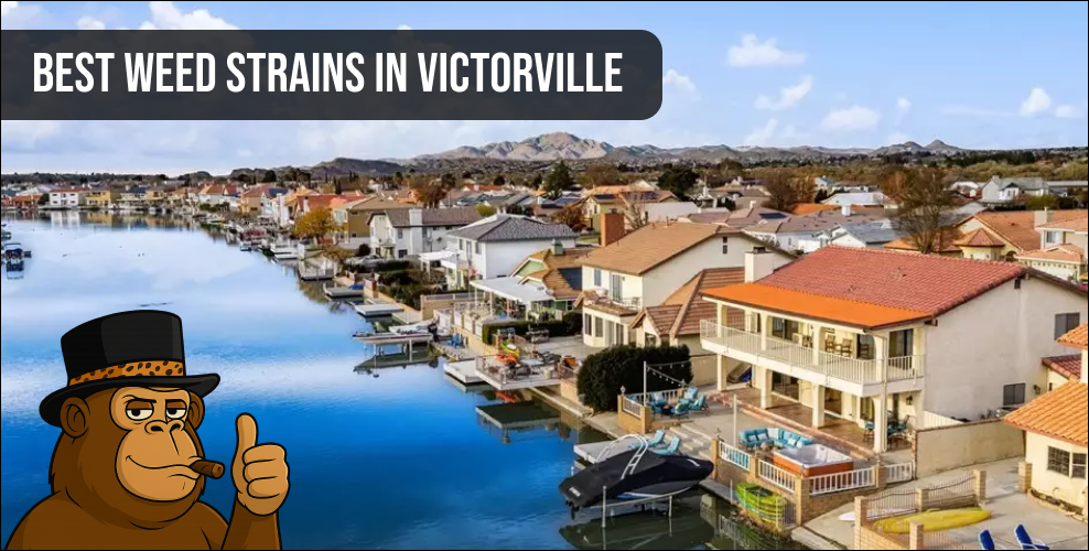 Best Weed Strains In Victorville