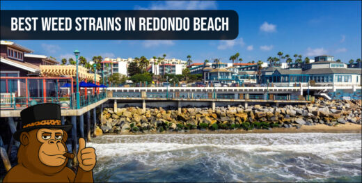 Redondo Beach shoreline and pier architecture representing the local South Bay cannabis culture.