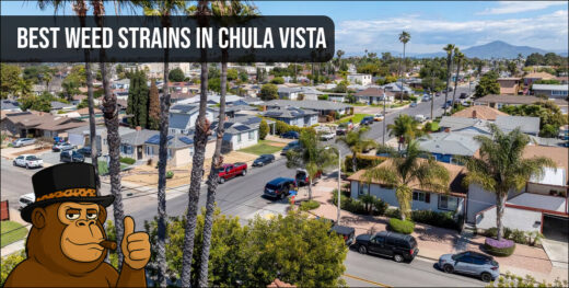Aerial perspective of a residential neighborhood in Chula Vista, California, representing the local area for top cannabis discovery.