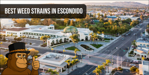 Panoramic city view of Escondido, California, showcasing the local urban landscape where top cannabis strains are available.