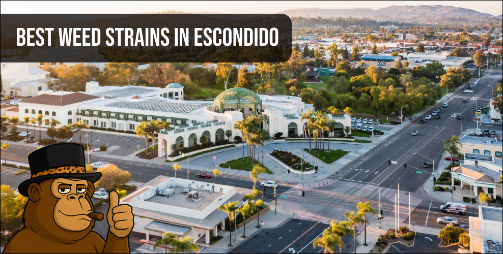 Panoramic city view of Escondido, California, showcasing the local urban landscape where top cannabis strains are available.