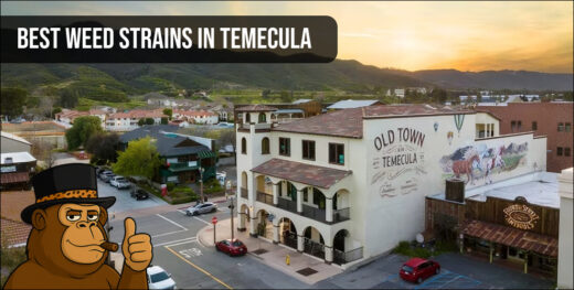 Wide aerial view of Temecula, California, featuring rolling hills and residential areas under a bright sky.