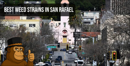 A scenic street view of downtown San Rafael with a headline overlay for the best weed strains in San Rafael.