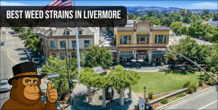 An aerial view of downtown Livermore, California, featuring First Street and the Schenone Building.