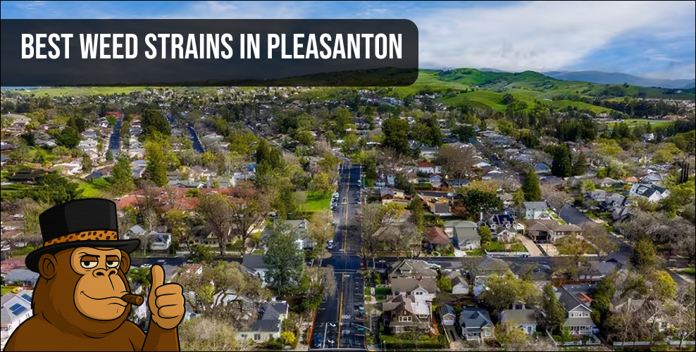 An aerial landscape view of a lush, green residential neighborhood in Pleasanton, California, under a blue sky.