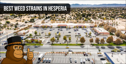 Aerial view of Hesperia cityscape with Best Weed Strains text overlay.
