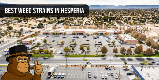 Aerial view of Hesperia cityscape with Best Weed Strains text overlay.