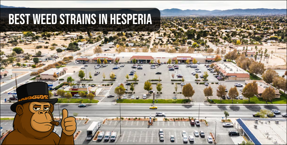 Aerial view of Hesperia cityscape with Best Weed Strains text overlay.