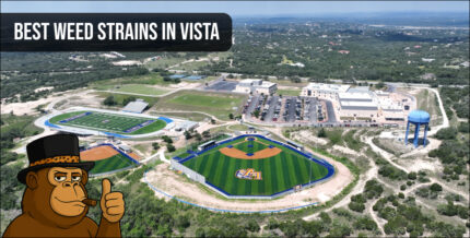 Aerial view of the Vista community setting the stage for a guide to the best weed strains in Vista.