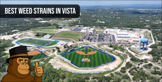 Aerial view of the Vista community setting the stage for a guide to the best weed strains in Vista.