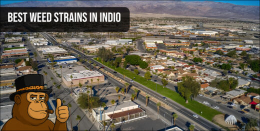An aerial landscape view of the city of Indio, California, with a prominent cartoon of a gorilla in a hat giving a thumbs-up and text that says "BEST WEED STRAINS IN INDIO".