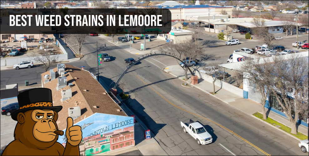 An aerial perspective of a Lemoore neighborhood featuring community housing and a central pond, perfect for the local cannabis lifestyle.