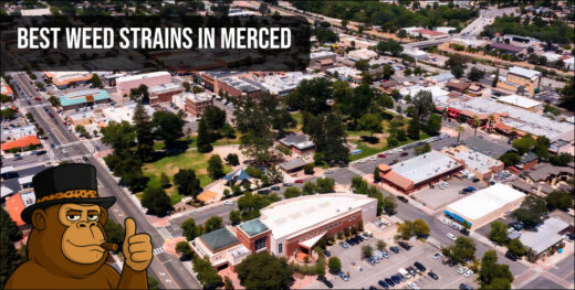 An aerial view of downtown Merced representing the local California cannabis scene and top-tier flower availability.