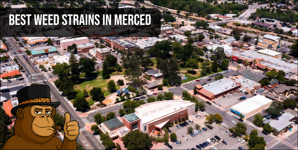 An aerial view of downtown Merced representing the local California cannabis scene and top-tier flower availability.