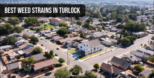 An aerial view of a Turlock neighborhood representing the local California cannabis scene and premium flower availability.