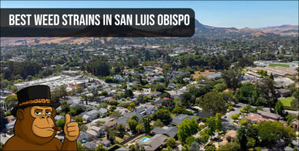 An aerial view of San Luis Obispo, California, representing the local landscape and the thriving SLO cannabis scene.