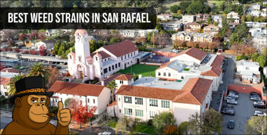 An aerial view of San Rafael, California, highlighting the local landscape and the search for top-tier cannabis.