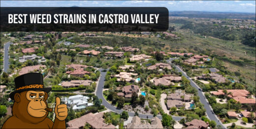 Aerial view of a luxury residential neighborhood in Castro Valley Texas for local weed delivery.