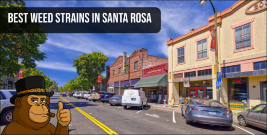 A scenic street view of downtown Santa Rosa featuring local shops and dispensaries offering the best weed strains in Santa Rosa.
