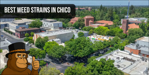 A scenic neighborhood view of Chico, California, representing the local market for the best weed strains in Chico.