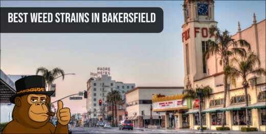 An urban landscape of downtown Bakersfield featuring the iconic Fox Theater and Padre Hotel representing the local cannabis lifestyle.