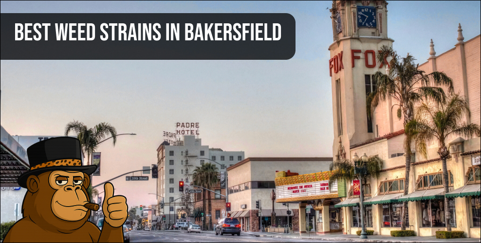 An urban landscape of downtown Bakersfield featuring the iconic Fox Theater and Padre Hotel representing the local cannabis lifestyle.