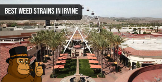 An urban view of downtown Irvine representing the local Orange County cannabis scene and lifestyle.