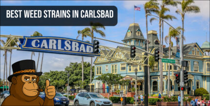 The iconic Carlsbad Village sign over a street with historic buildings, representing the local area for the best weed strains in Carlsbad.