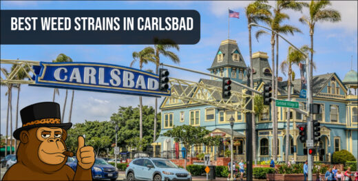 The iconic Carlsbad Village sign over a street with historic buildings, representing the local area for the best weed strains in Carlsbad.